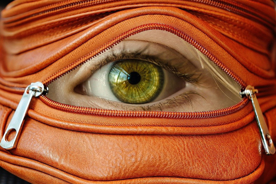 Image d'en-tête de l'article Je Réalise " Constater les faits plutôt qu'écouter les mots ", sur laquelle l'on voit au centre un œil de couleur vert-jaune grand ouvert, regardant à travers la fermeture éclair ouverte d'une banane en cuir orange.