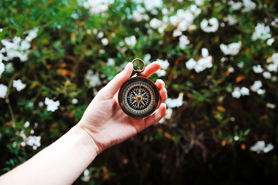 Image d'en-tête de l'article Je Réalise " Identifier & hiérarchiser mes valeurs ", sur laquelle l'on voit une main féminine tenant une boussole, devant des arbustes à fleurs blanches.